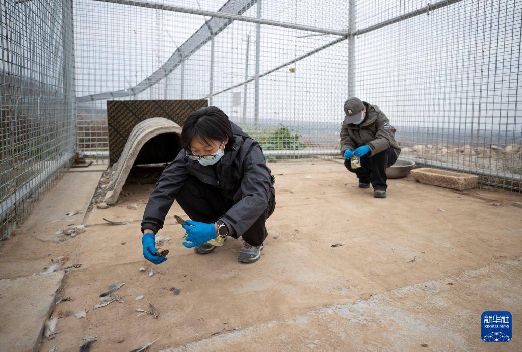 探訪賀蘭山下的雪豹保護研究基地:中航光電科技股份有限公司