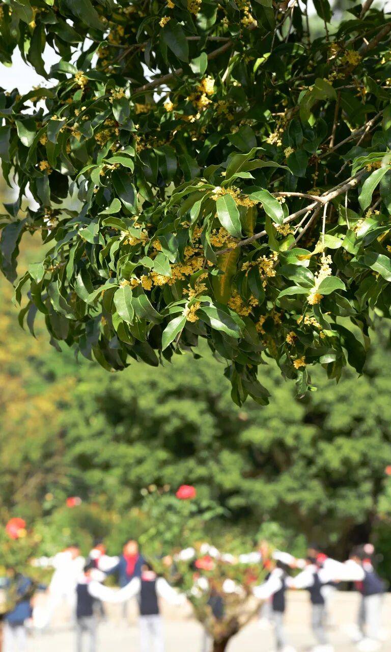 即將升溫<strong></p>
<p>中航光電科技股份有限公司
</strong>，再降6-8℃！新一輪冷空氣要來:中航光電科技股份有限公司
