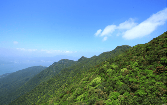 已有3人遇難<strong></p>
<p>中航光電科技股份有限公司
</strong>！深圳知名公園警示：這里危機四伏:中航光電科技股份有限公司
