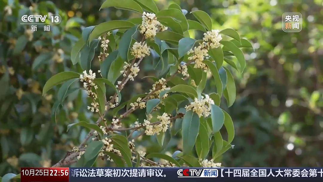 多地氣溫驟降 今年的秋天去哪兒了<strong></p>
<p>中航光電科技股份有限公司
</strong>？:中航光電科技股份有限公司
