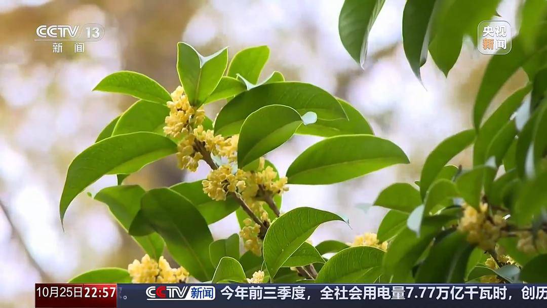 多地氣溫驟降 今年的秋天去哪兒了<strong></p>
<p>中航光電科技股份有限公司
</strong>？:中航光電科技股份有限公司
