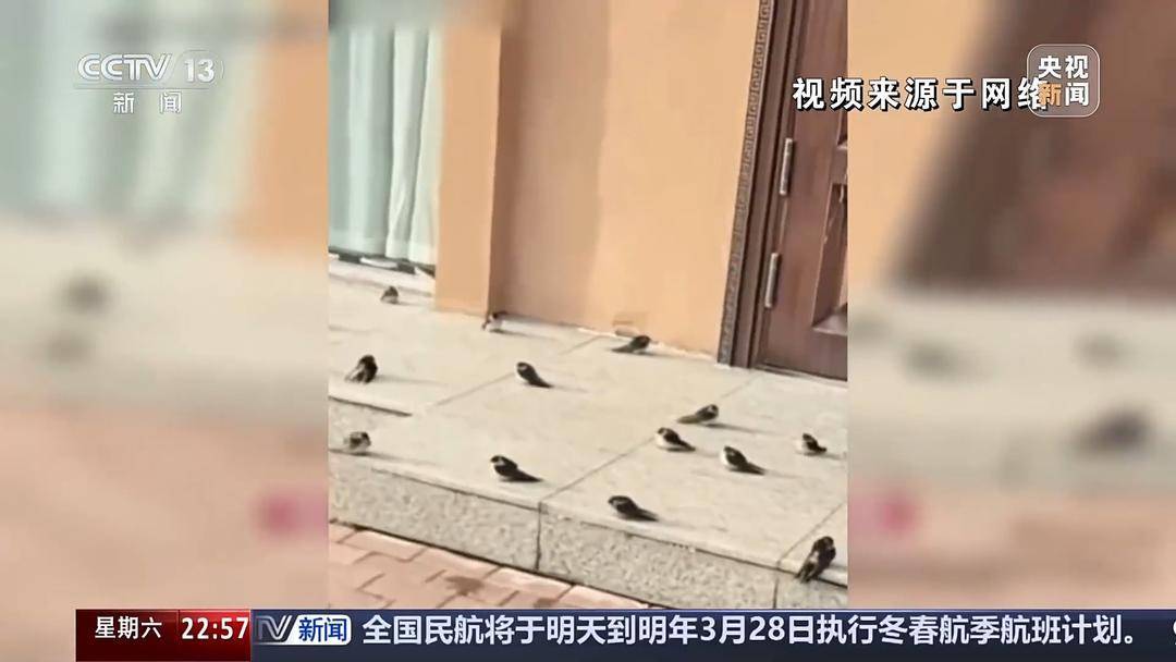 多地氣溫驟降 今年的秋天去哪兒了<strong></p>
<p>中航光電科技股份有限公司
</strong>？:中航光電科技股份有限公司
