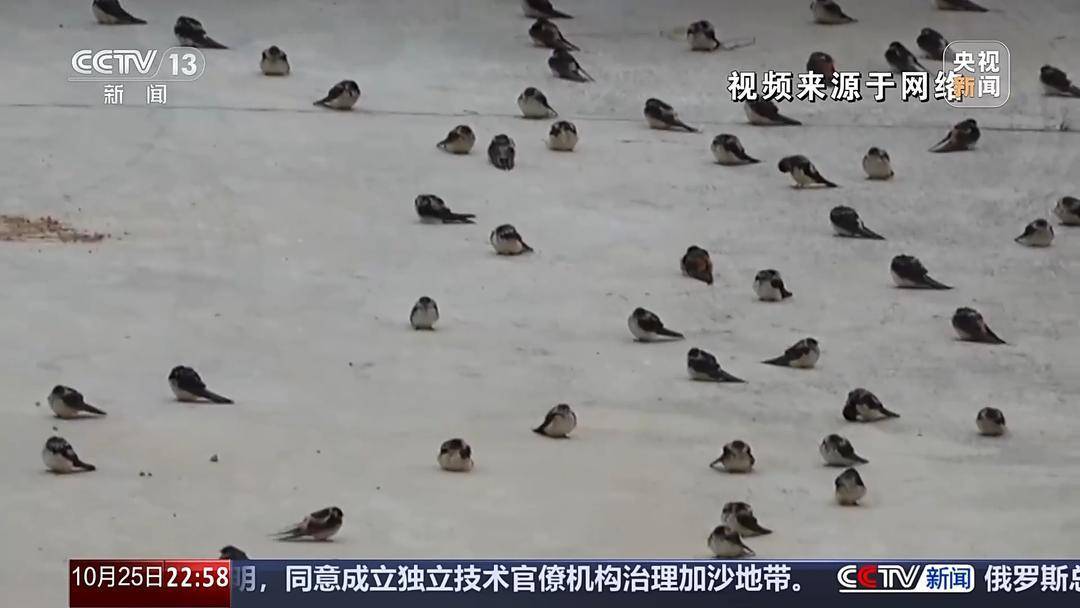 多地氣溫驟降 今年的秋天去哪兒了<strong></p>
<p>中航光電科技股份有限公司
</strong>？:中航光電科技股份有限公司
