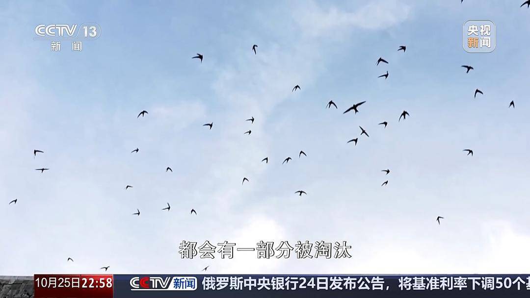 多地氣溫驟降 今年的秋天去哪兒了<strong></p>
<p>中航光電科技股份有限公司
</strong>？:中航光電科技股份有限公司
