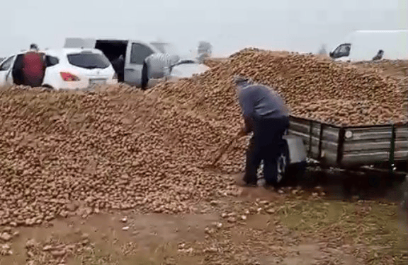 波蘭68歲農民收獲的150噸土豆被一夜搬空<strong></p>
<p>中航光電科技股份有限公司
</strong>， 只因帖子遭篡改:中航光電科技股份有限公司
