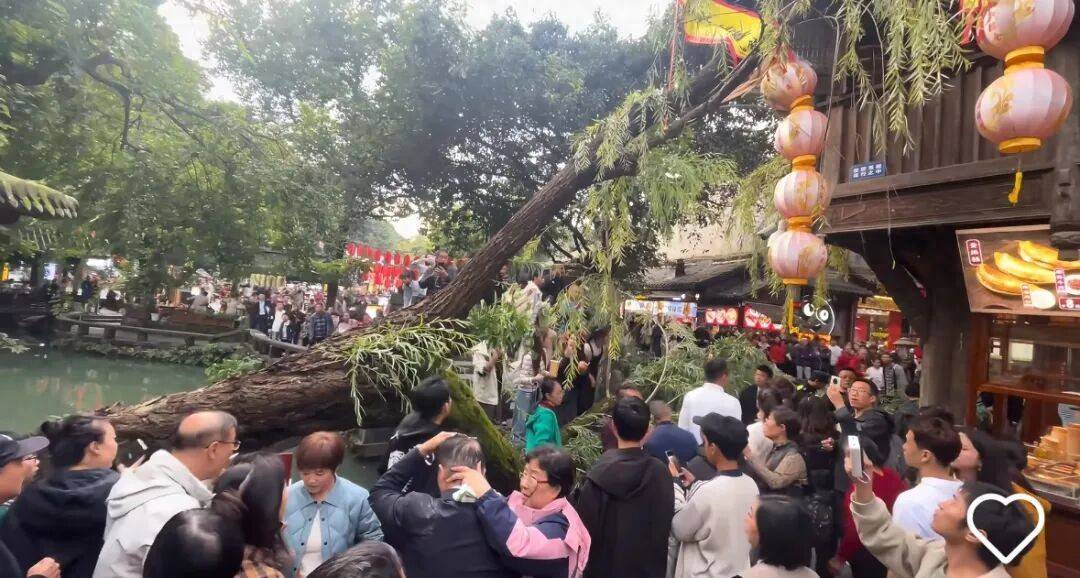 成都錦里古街一古樹突然傾倒<strong></p>
<p>中航光電科技股份有限公司
</strong>，當地文旅：有兩人受傷已送醫，樹木內部長久腐爛導致斷裂:中航光電科技股份有限公司
