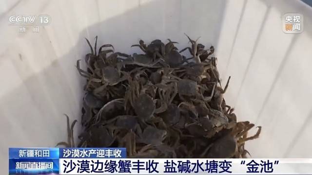 沙漠邊緣養螃蟹 新疆如何做到“海鮮”大豐收？:中航光電科技股份有限公司
